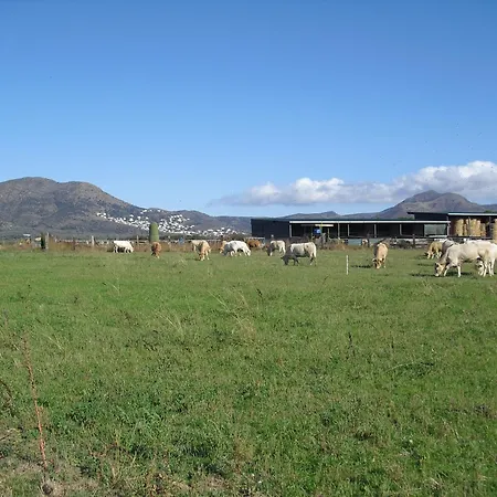 Mas La Torre Casa rural *